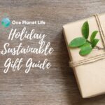 Philanthropic Giving: A Fresh Approach to Gifting