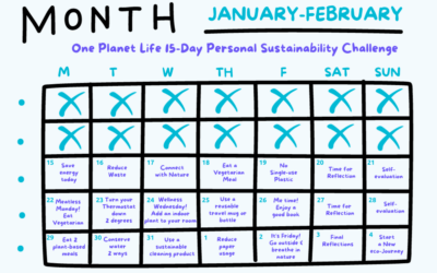 Join Our 15-Day Personal Sustainability Challenge!