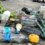 How Microplastics Devastate Health, Disrupt Ecosystems, and Threaten Biodiversity