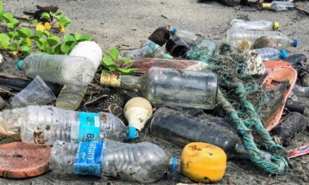 How Microplastics Devastate Health, Disrupt Ecosystems, and Threaten Biodiversity