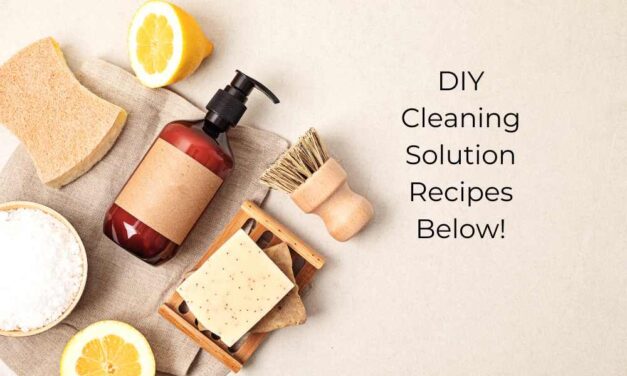 Clean More Sustainably with Eco-Friendly Cleaning Products