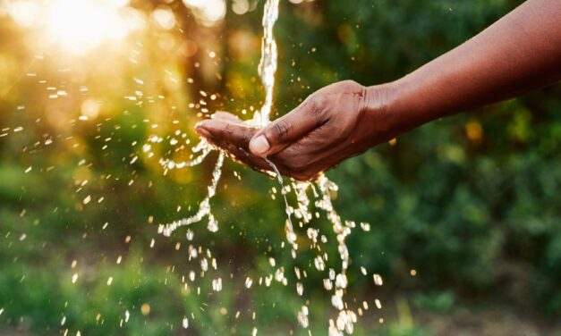 Join OPL’s Conserve Water Challenge – Every Drop Counts!