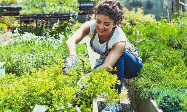 Growing Wellness: 7 Health Benefits of Gardening
