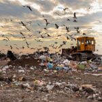 OPL Insight: U.S. Food Waste By Category and Sector