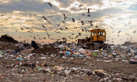 OPL Insight: U.S. Food Waste By Category and Sector