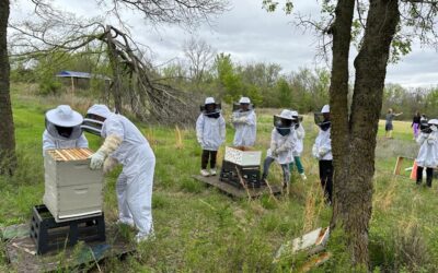 Exploring Sustainability and Nature-Based Learning at Riverfield Country Day School