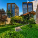 Nurturing Nature in the City: The Environmental Impact of Urban Green Spaces