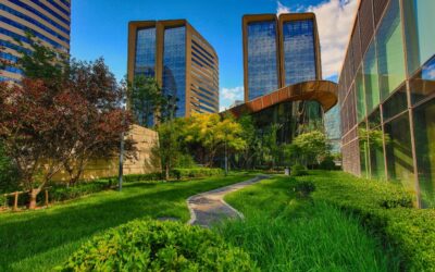 Nurturing Nature in the City: The Environmental Impact of Urban Green Spaces