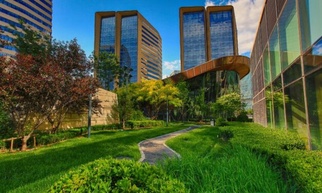 Nurturing Nature in the City: The Environmental Impact of Urban Green Spaces