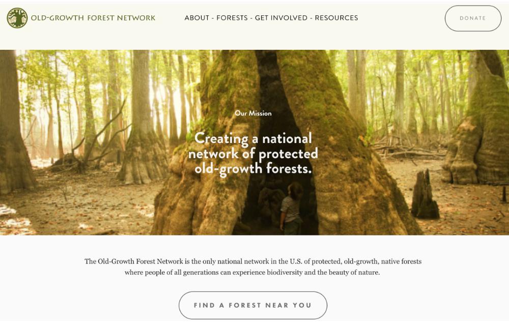 Old Growth Forest Network