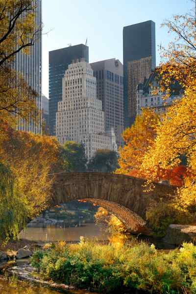 Urban Green Spaces