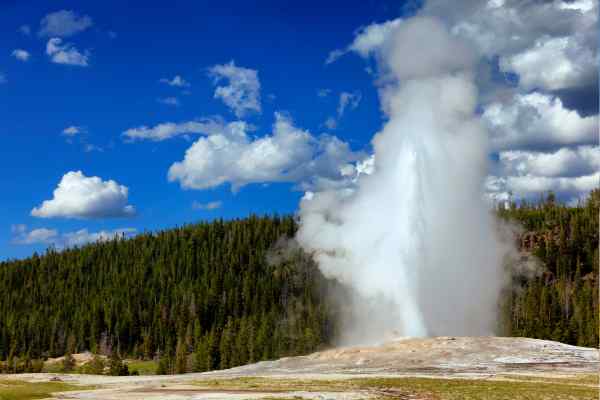 Protected Land Yellowstone