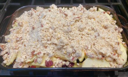 Apple and Dried Cranberry Crisp