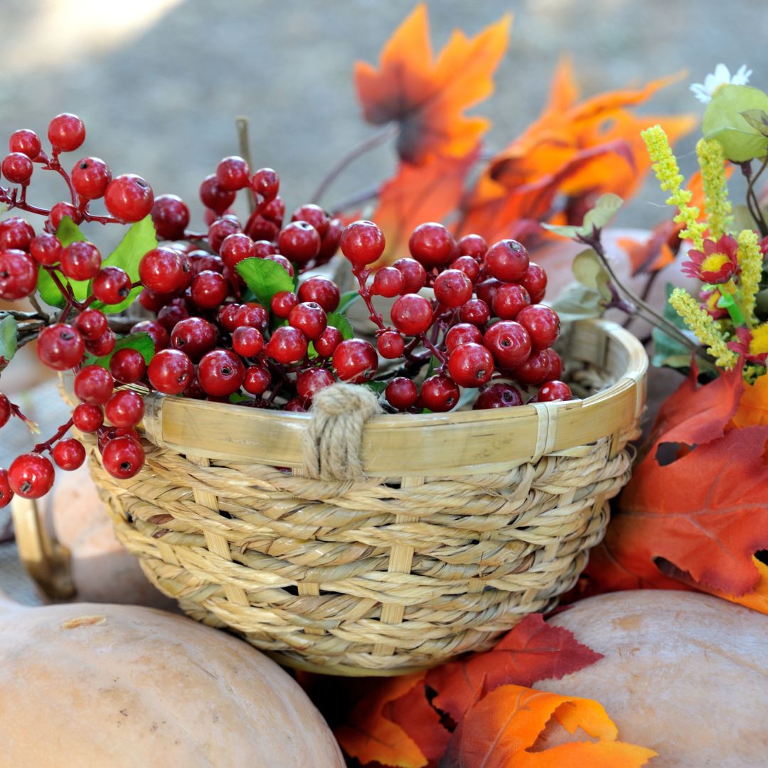 Holiday Tablescape Fruit