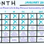 Start 2025 Off Right with Our 15-Day Sustainability Challenge