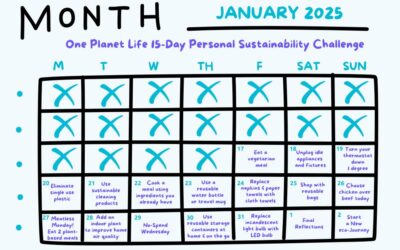 Start 2025 Off Right with Our 15-Day Sustainability Challenge