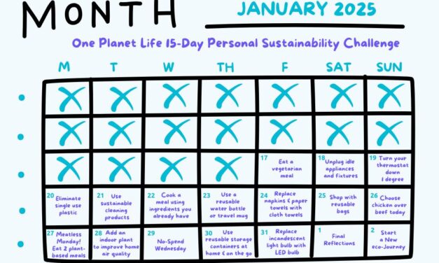 Start 2025 Off Right with Our 15-Day Sustainability Challenge