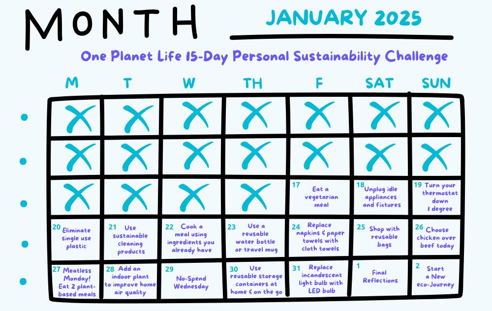 Start 2025 Off Right with Our 15-Day Sustainability Challenge