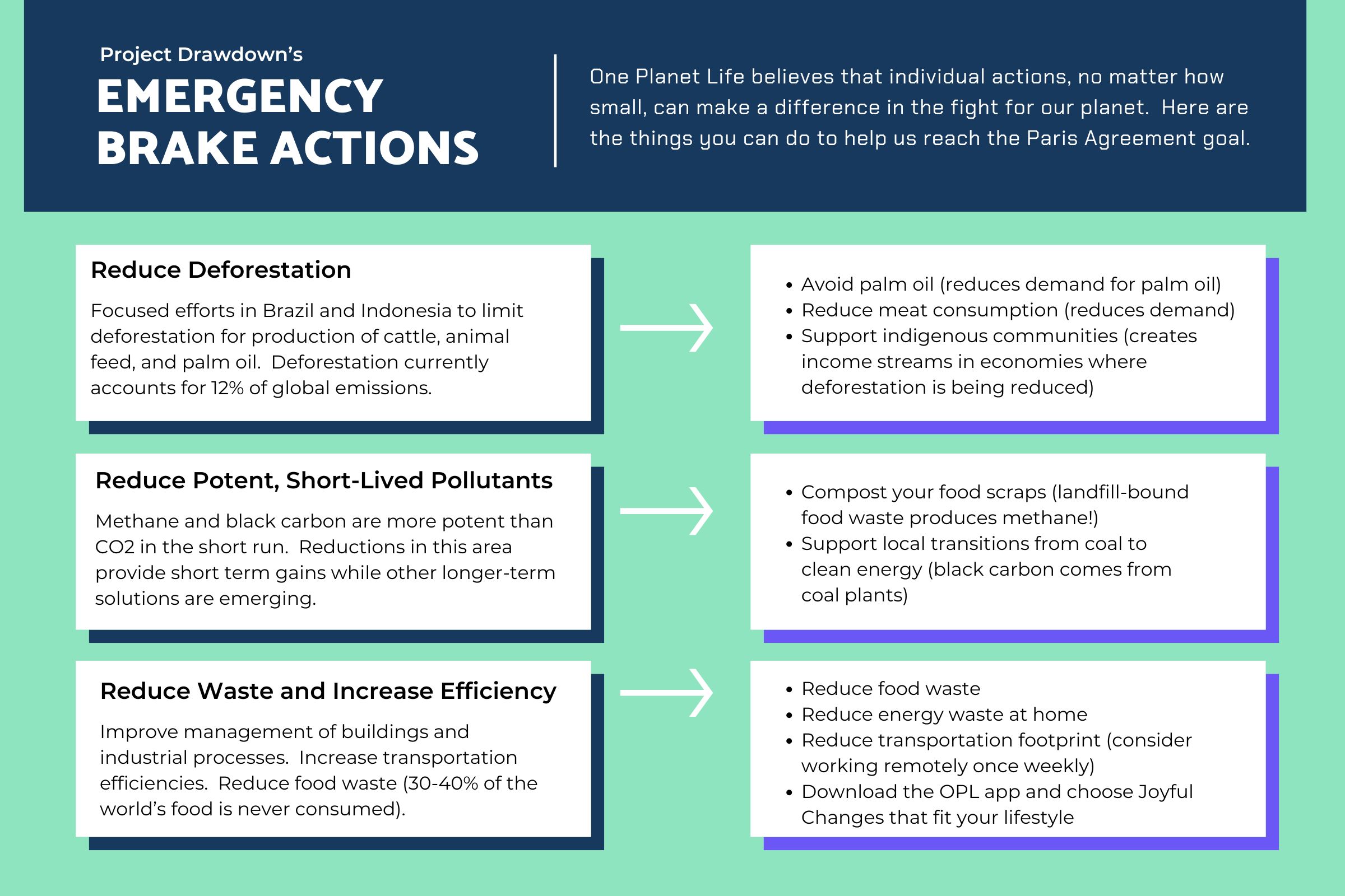 Climate Crisis Infographic