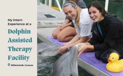 My Intern Experience at a Dolphin Assisted Therapy Facility in Curacao