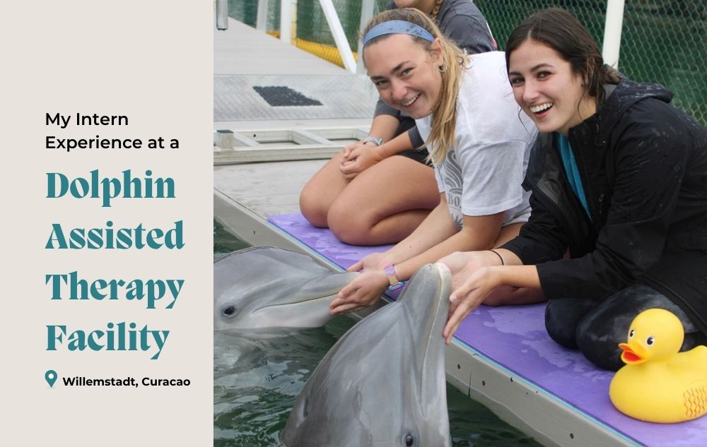My Intern Experience at a Dolphin Assisted Therapy Facility in Curacao