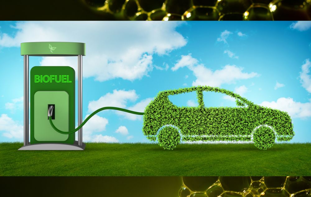 Biofuels: Are They Really a Climate Solution?