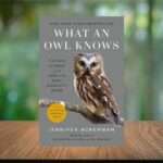What an Owl Knows by Jennifer Ackerman