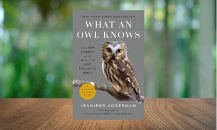 What an Owl Knows by Jennifer Ackerman