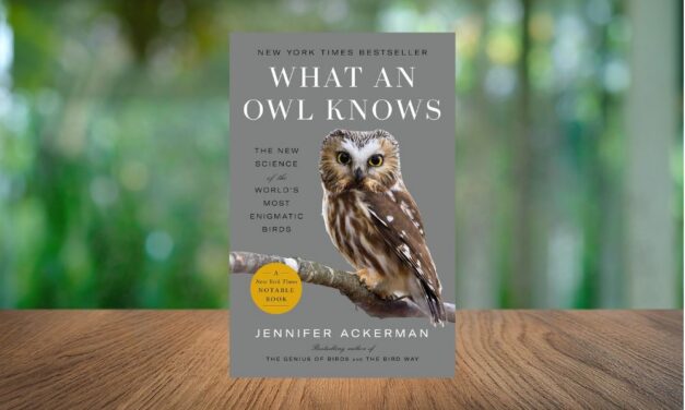 What an Owl Knows by Jennifer Ackerman