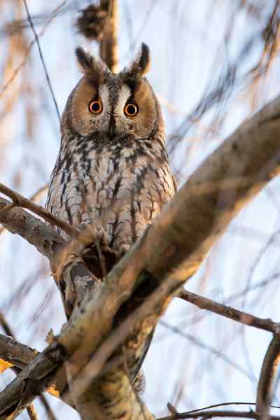 One Planet Life App Performance Stats