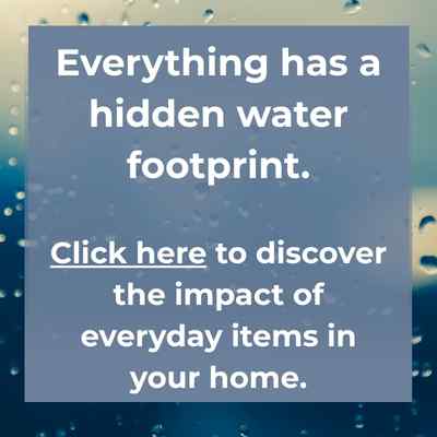 AI Hidden Water Footprint